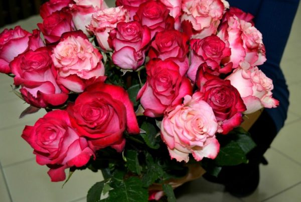 Букет роз – классический подарок девушке